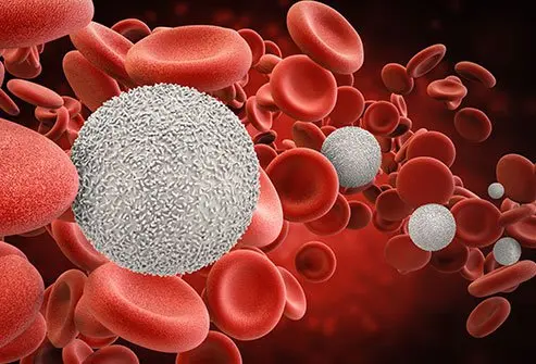 Complete Blood Count CBC