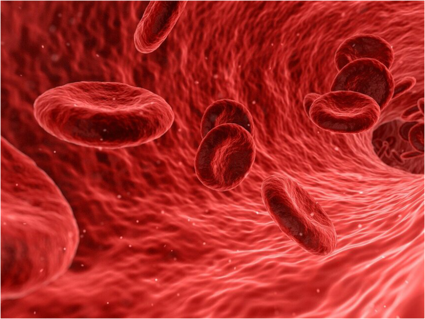 Growth Factor Therapy
