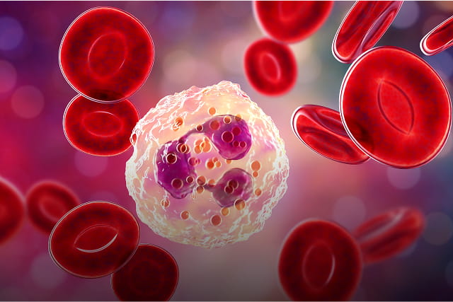 Haematologist in Chhatrapati Sambhajinagar