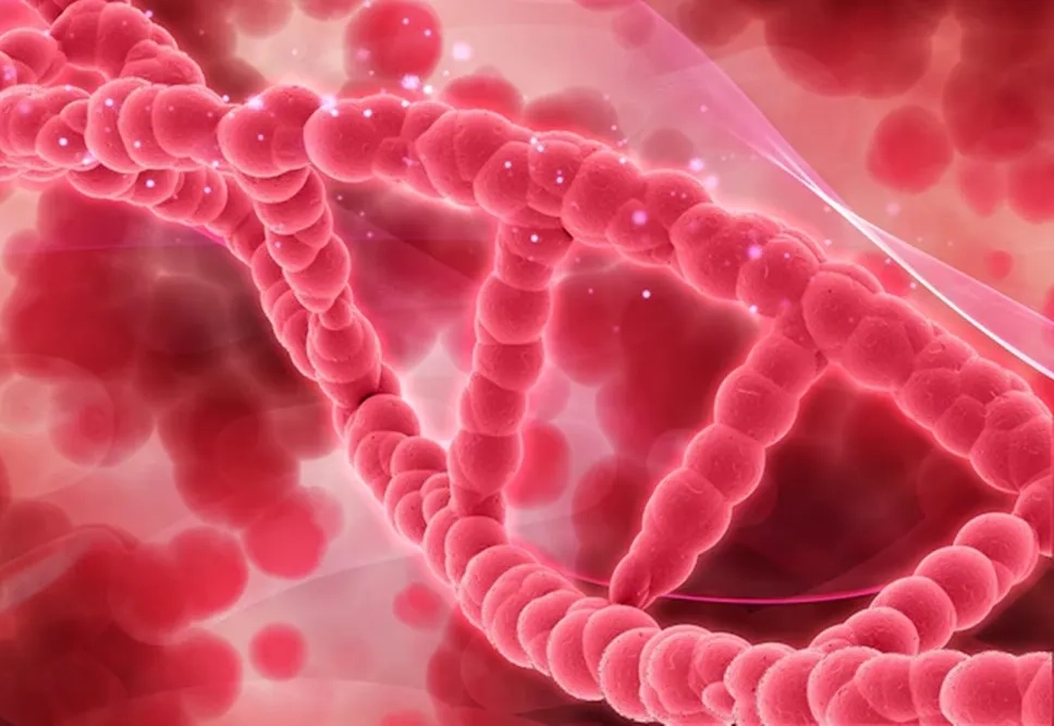 Jeevan Amrut Haematology Center provides specialized blood cancer treatment in Chhatrapati Sambhajinagar