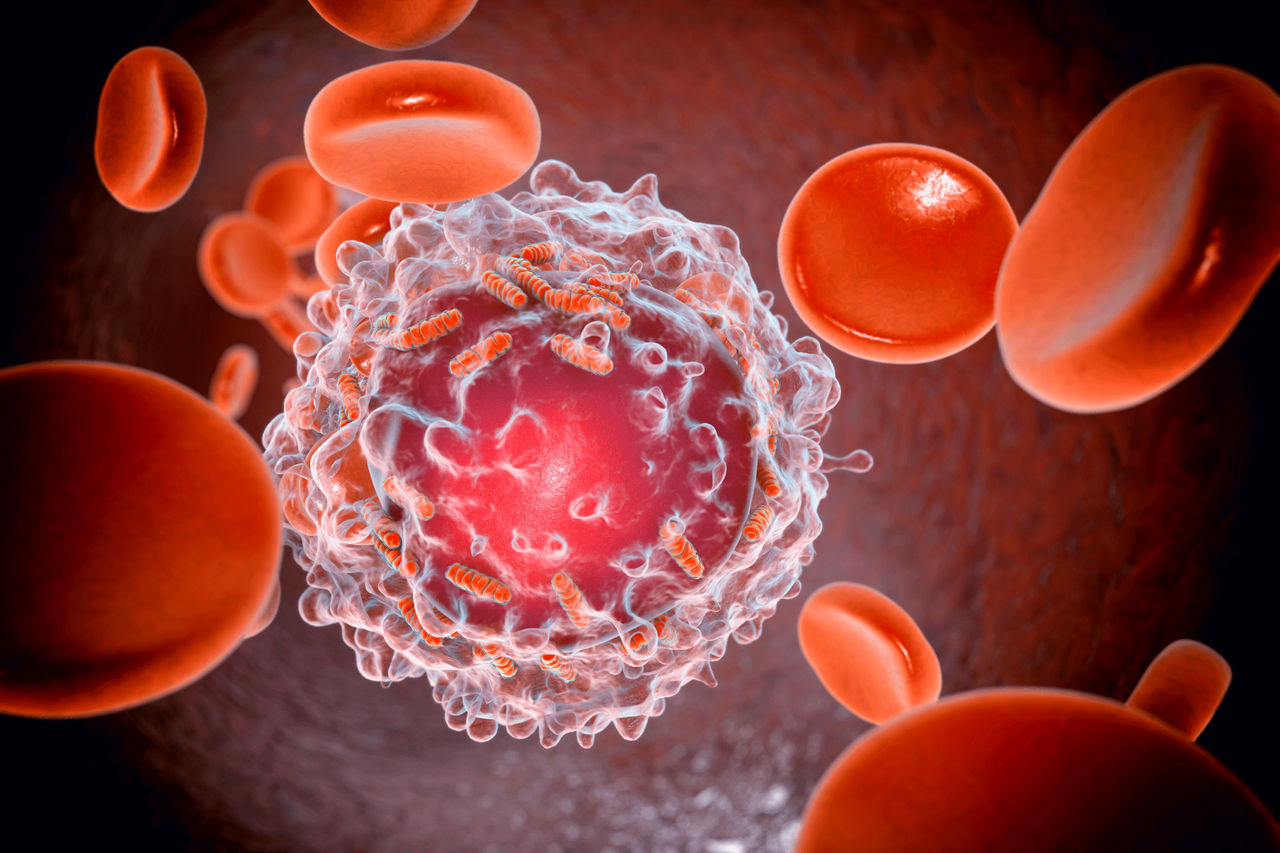 Leukemia Treatment in Chh. Sambhajinagr