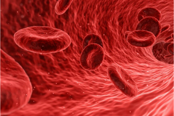 Growth Factor Therapy